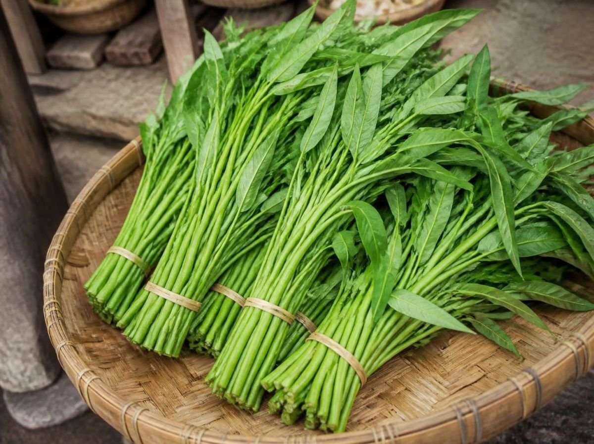 Foto Kangkung segar